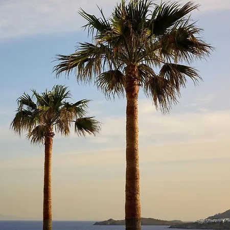 Santa Marina, A Luxury Collection Resort, Mykonos